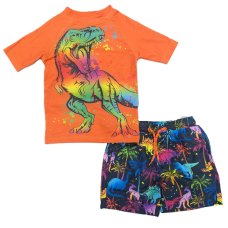 DX306: Kids Dinosaurs 2 Piece Swim Set (2-10 Years)